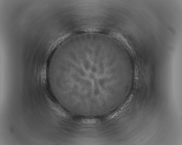 X0000113930202200909251226