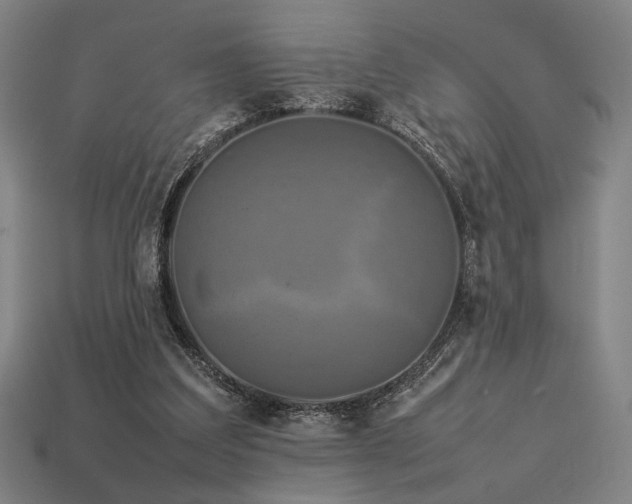 X0000113930203200909251226
