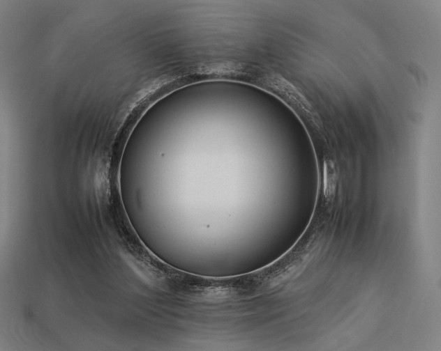 X0000113930204200909251226