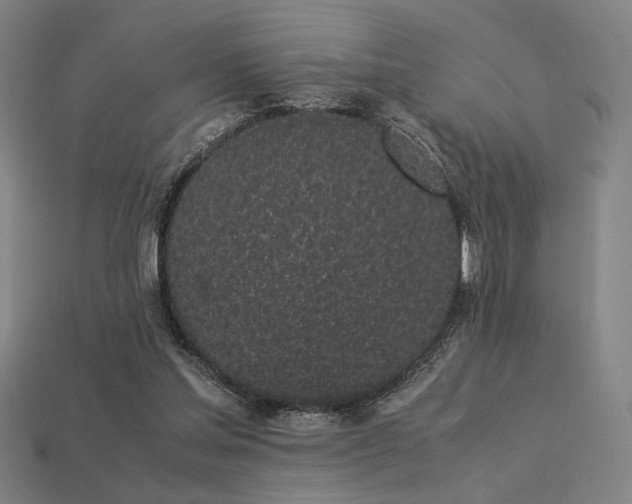 X0000113930205200909251226