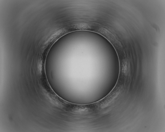 X0000113930206200909251226