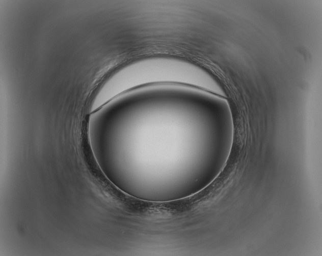 X0000113930207200909251226