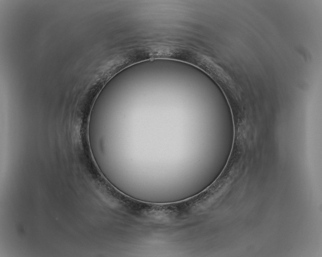 X0000113930209200909251226