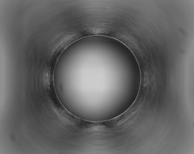 X0000113930210200909251226