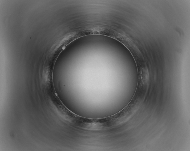 X0000113930212200909251226