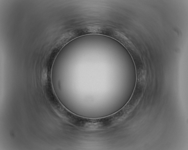 X0000113930213200909251226