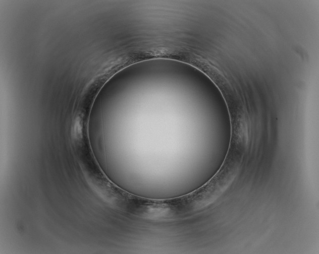 X0000113930214200909251226