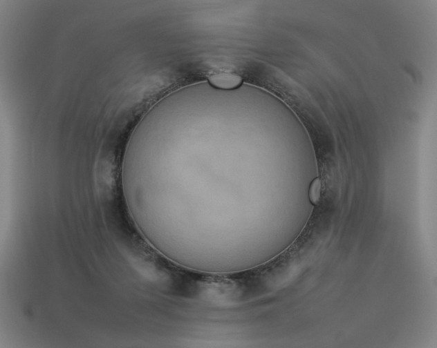 X0000113930215200909251226