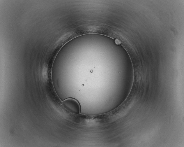 X0000113930216200909251226