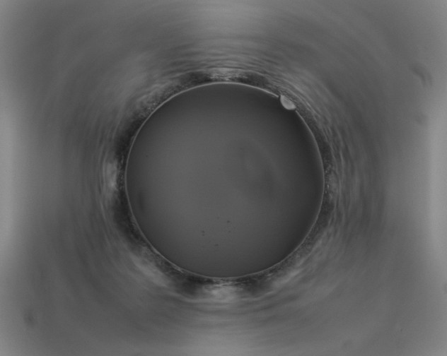 X0000113930219200909251226