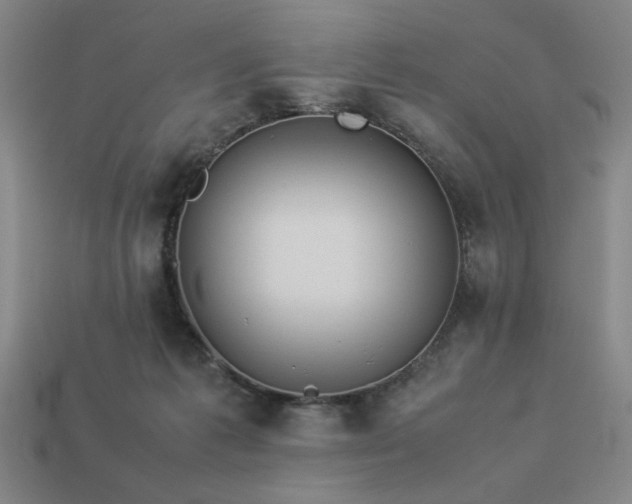 X0000113930221200909251226
