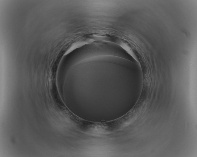 X0000113930223200909251226