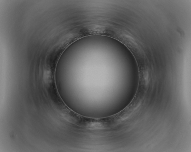 X0000113930224200909251226