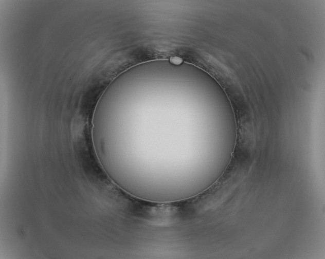 X0000113930225200909251226