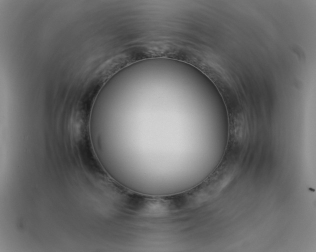 X0000113930226200909251225