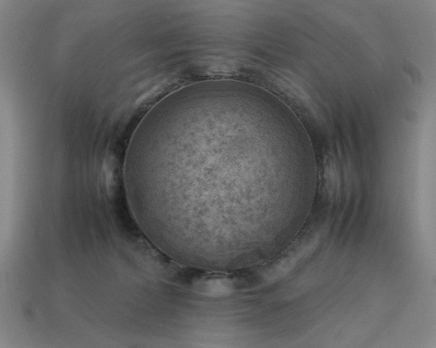 X0000113930228200909251225