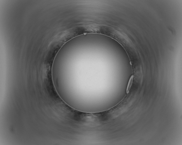 X0000113930229200909251225