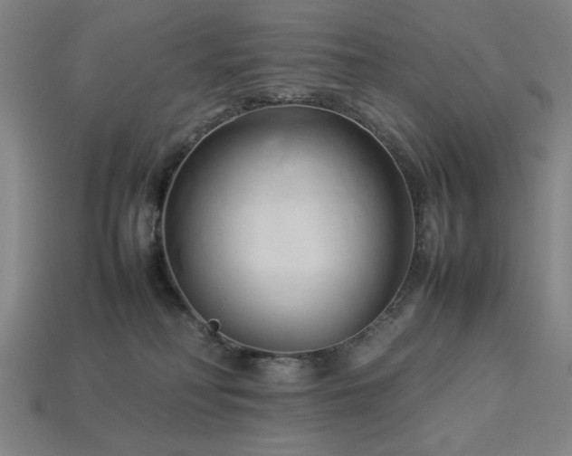 X0000113930230200909251225
