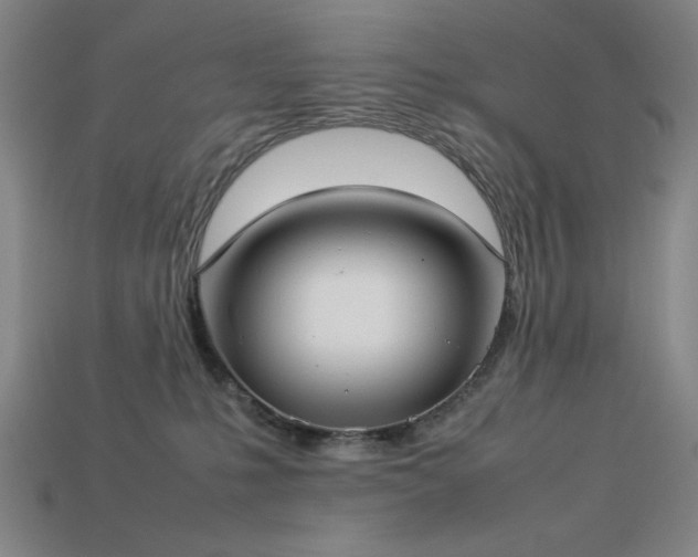 X0000113930231200909251225