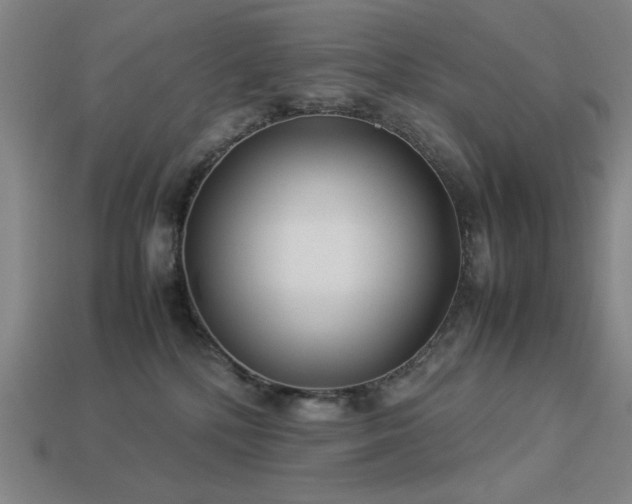 X0000113930232200909251225