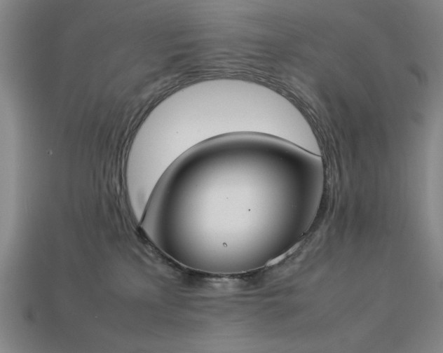 X0000113930233200909251225
