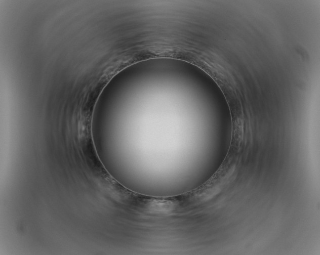 X0000113930234200909251225