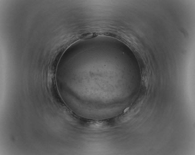 X0000113930235200909251225