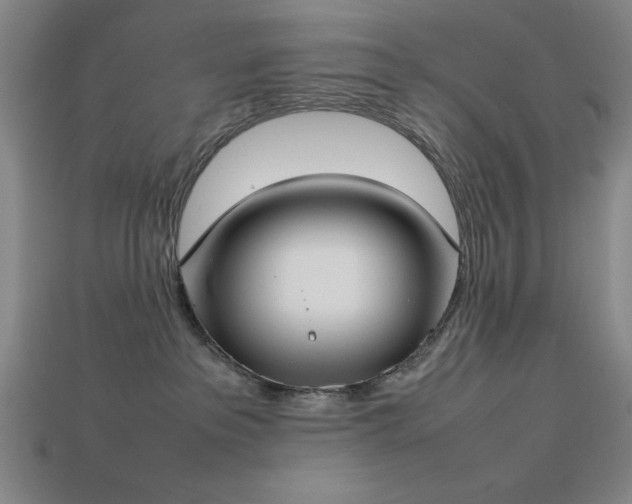X0000113930237200909251225