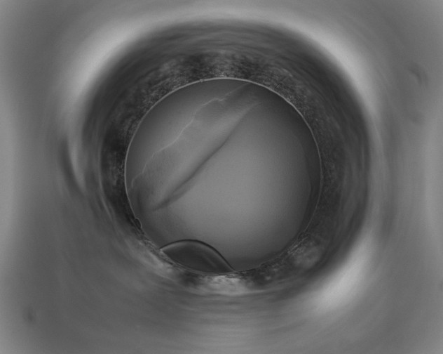 X0000113930239200909251225