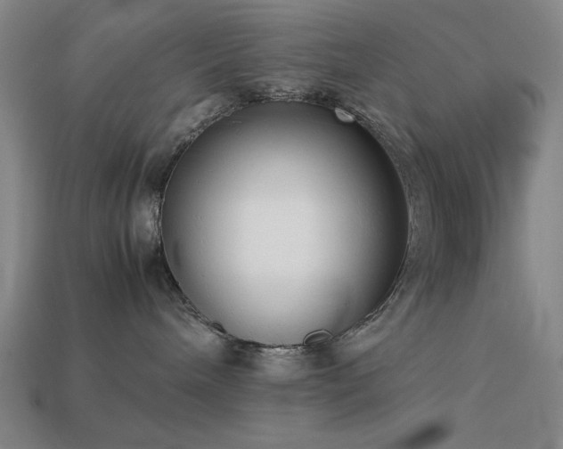 X0000113930240200909251225