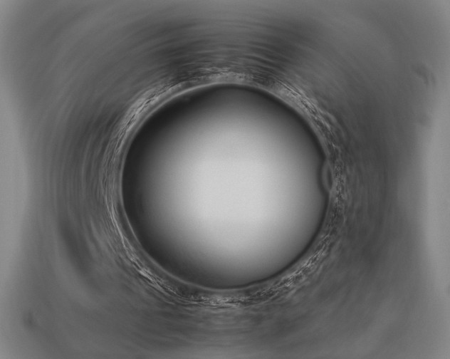 X0000113930241200909251225