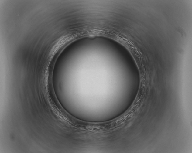 X0000113930242200909251225