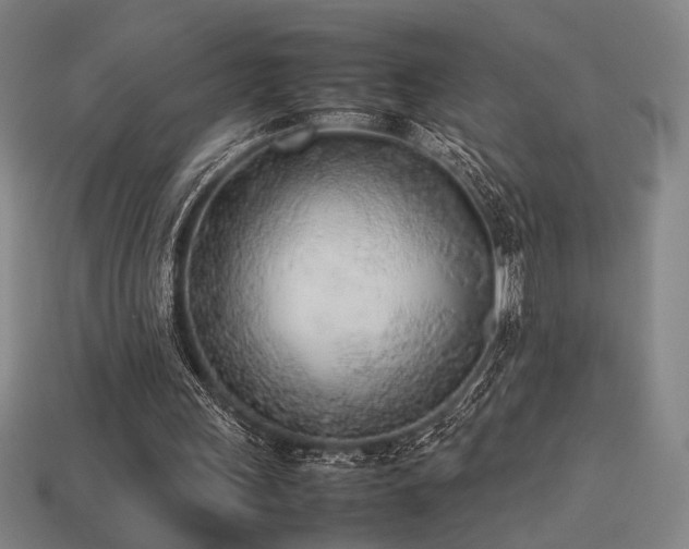 X0000113930243200909251225