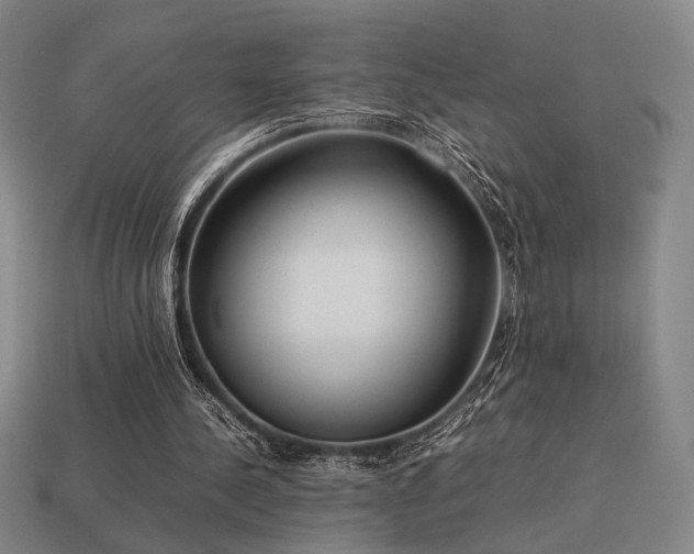 X0000113930244200909251225