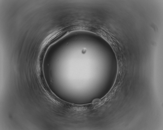 X0000113930245200909251225