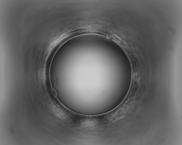 X0000113930248200909251225