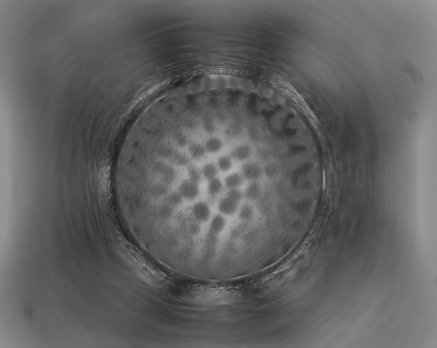 X0000113930249200909251225