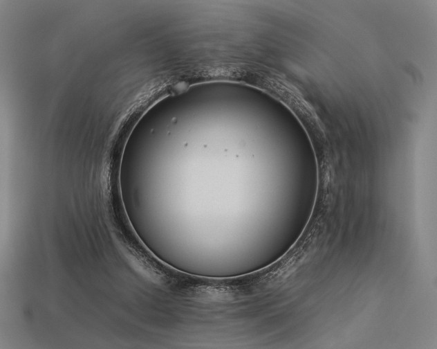 X0000113930250200909251225