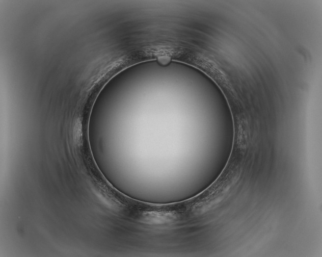 X0000113930251200909251225