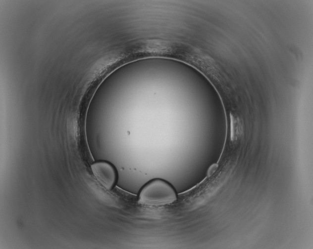 X0000113930252200909251225