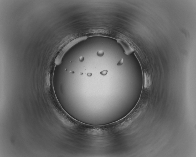 X0000113930253200909251225