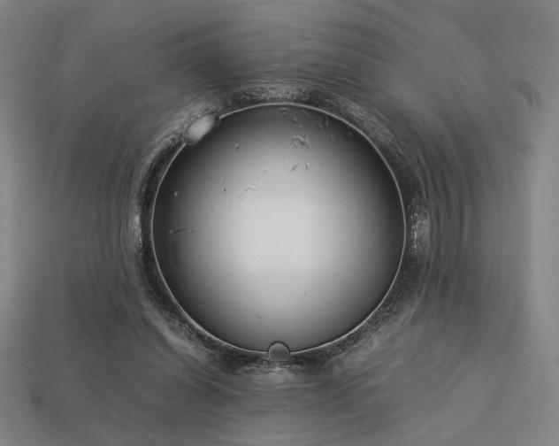 X0000113930254200909251225
