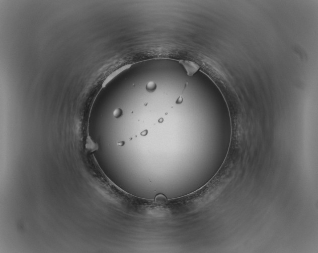 X0000113930258200909251225