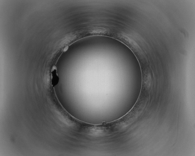 X0000113930261200909251225