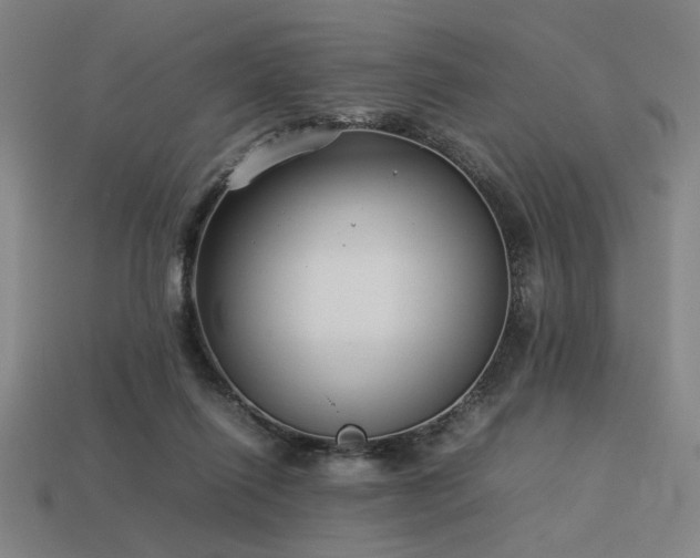 X0000113930262200909251225