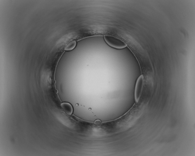 X0000113930264200909251225