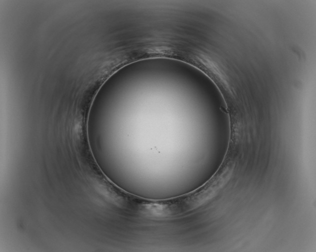 X0000113930265200909251225