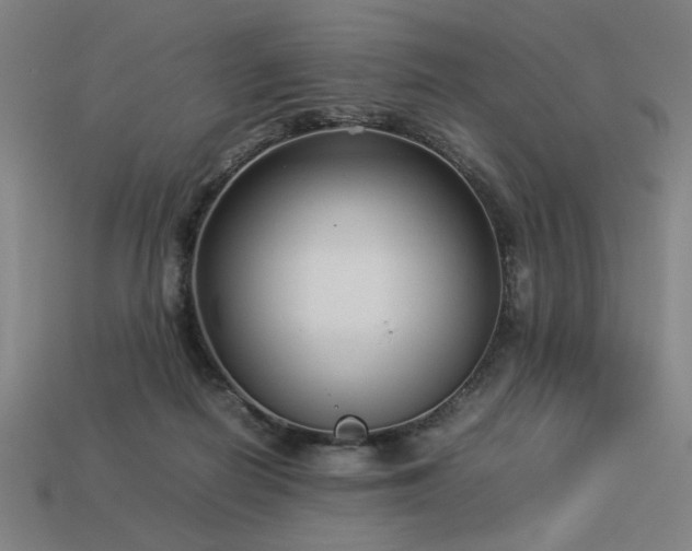 X0000113930266200909251225