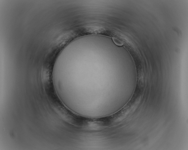 X0000113930268200909251225