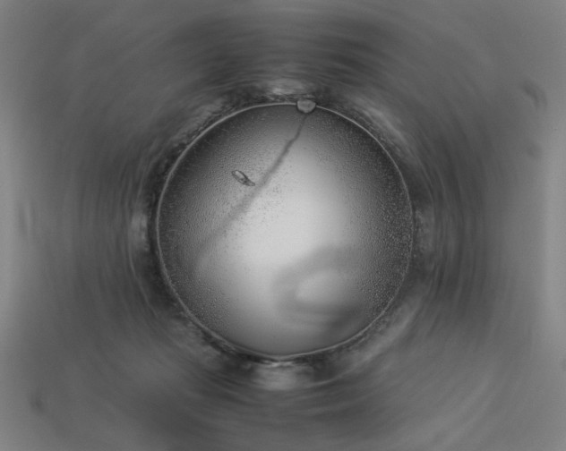 X0000113930269200909251225